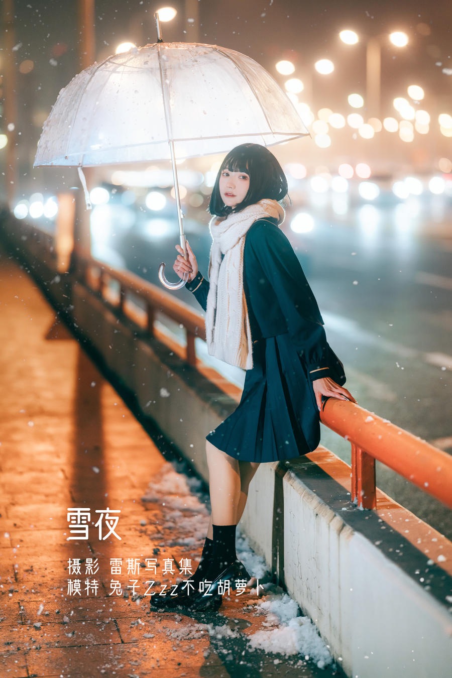 兔子Zzz不吃胡萝卜-No.036-雪夜 [22P]