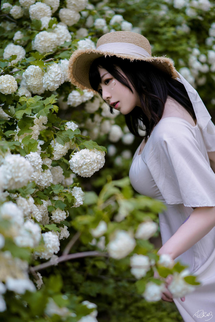 皮皮奶可可爱了啦(超皮皮皮奶)-No.067 – 绣球花 [36P]